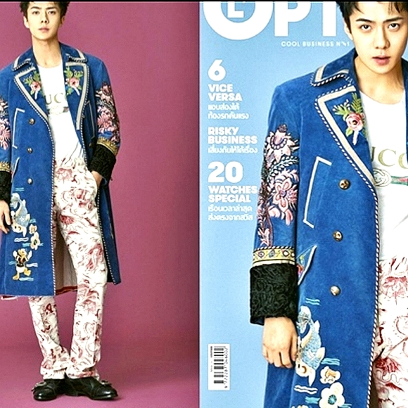 ♥️SOLD NWT Embroidered Duck Velvet Royal Celebrity luxurious Coat. XL - Picture 4 of 15